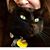 Diana Gutwig's profile image