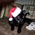 Ruthlynn Shuba-Katz's profile image