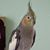 Liz Watkinson's profile image