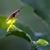 Theresa Bruce Stanton's profile image