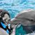 Sally Gamil's profile image