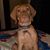 Judi Collier's profile image