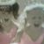 Sandy Dunn's profile image