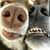 Trudy Emmons's profile image