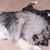 Sandra M. Miller's profile image