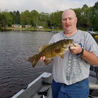 Phil Wheeler's profile image