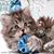 Rosemary Glover's profile image