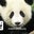 Paul Stancer's profile image