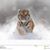 Anthony Buda's profile image
