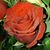 Kathy Birdwell's profile image
