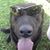 Marc DeBolt's profile image