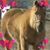 Mayda Bartlett's profile image