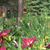 Marie Pelletier's profile image