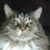 Deborah Dobich Marchionda's profile image