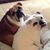 Kimberly Lardi's profile image