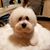 Laura Sweeting's profile image