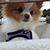 Lisa LaFontaine-Berthelette's profile image