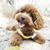 Alice Makon's profile image