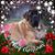 Lori Millard Jackson's profile image