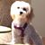 Shelia Bonn-Cooper's profile image