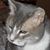 Linda Waltman's profile image
