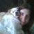 Debbie Jackson Campbell's profile image