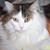 Susan Gardlik's profile image