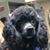 Michelle Painter's profile image