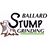 William Ballard's profile image