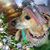 Lois Delancey Brabston's profile image