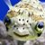 Ethan Buchert's profile image