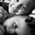 Connie Schmitz Alicea's profile image