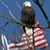 Darlene Welter Reed's profile image