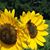 Karen Beasley's profile image
