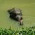 Andrea Clark's profile image