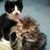 Sarah Peterman Elston's profile image