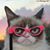 Maria Tabone Serianni's profile image