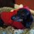 Melissa Rumsey Sparks's profile image