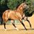 Fran Asche's profile image