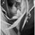 Alexandre Bourcier's profile image