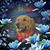 Sue Welu Murrell's profile image