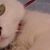 Cecilia M Morales's profile image