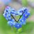 Marybeth Campbell Hodgens's profile image