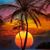 Pam Burdt's profile image