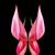 Samuel Cheung's profile image