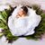 Anastasia Carofilis's profile image