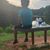 Chelly Rivas's profile image