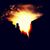 Kelly Gene Parsons's profile image