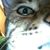 Heather Ebbers's profile image