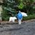 Barbara Price's profile image